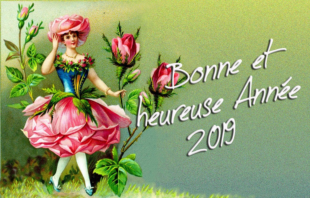 Bonne Annee 2019